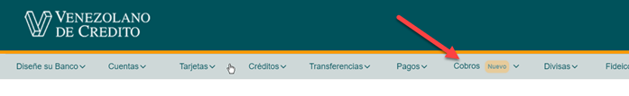 0104 Venezolano